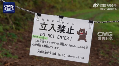 Atacuri mortale ale urşilor în Japonia – Trupe militare trimise în nordul ţării / Peste o sută de atacuri din luna aprilie / Record de victime decedate