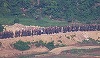 Coreea de Sud propune Coreei de Nord negocieri în vederea trasării unei Linii de Demarcaţie Militară clare, pentru a evita incidente la frontieră, după ce militari nord-coreeni au traversat-o în mai multe rânduri şi au instalat rute tactice, împrejmuiri ş