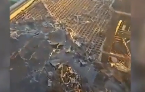 O navă civilă turcă a fost ţinta unui atac cu dronă al Rusiei, anunţă Ucraina