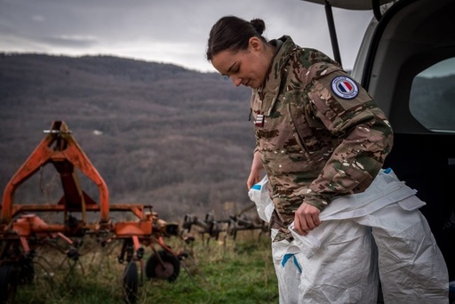 Franţa desfăşoară armata în sud, în lupta împotriva unei epidemii de dermatoză nodulară contagioasă bovină