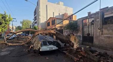 Un cutremur puternic a zguduit sudul Mexicului întrerupând conferinţa de presă a preşedintei - VIDEO