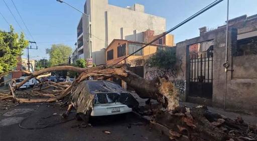 Un cutremur puternic a zguduit sudul Mexicului întrerupând conferinţa de presă a preşedintei: un mort şi 12 răniţi - VIDEO