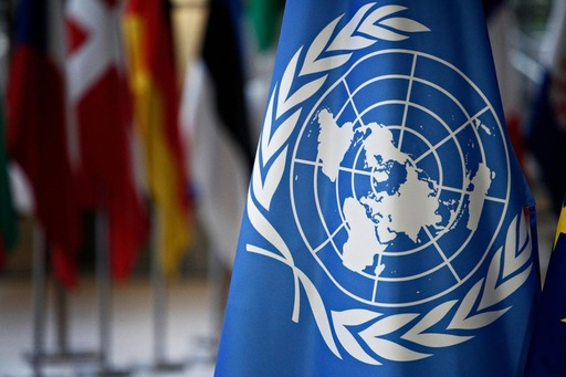 ONU solicită „o anchetă independentă” în cazul femeii ucise în Minneapolis de poliţia americană pentru imigrare