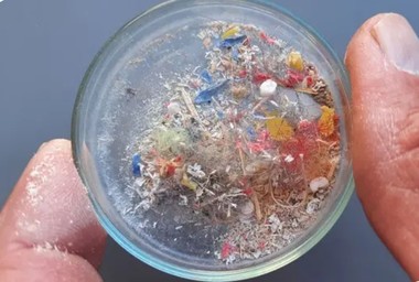 „Bombă” în lumea ştiinţei: Unii cercetători pun la îndoială acurateţea studiilor despre descoperirea microplasticului în organismul uman