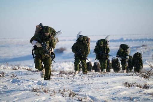 Armata canadiană a modelizat şi studiază un scenariu al unei invazii a SUA. Într-un atac din sud, armata americană ar neutraliza în două zile, până la o săptămână, principalele poziţii strategice canadiene. Canadienii ar răspunde prin ambuscade şi gherilă ca-n Afganistan