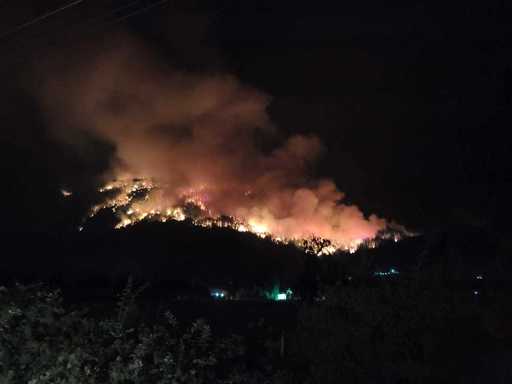 Incendii de pădure în Patagonia argentiniană – Guvernul declară ”stare de urgenţă din cauza incendiilor”