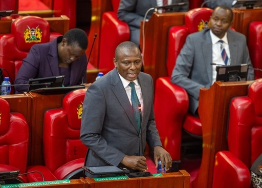 Peste 1.000 de kenyeni au fost înrolaţi de Rusia în Războiul din Ucraina, iar mulţi nu ştiau ce-i aşteaptă, arată un raport al spionajului kenyan, de cinci ori mai mulţi decât anunţau autorităţile