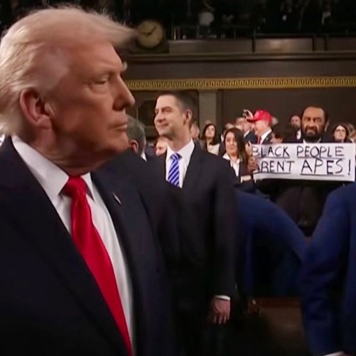 „Persoanele de culoare nu sunt maimuţe”: Un congresmen democrat a fost expulzat din Congres din cauza protestului său în timpul discursului lui Trump despre starea naţiunii - VIDEO