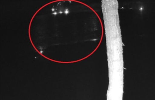 O dronă cade în Lacul Lavysas, în Lituania, în apropierea frontierei cu Belarusul