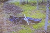 Kievul prezintă scuze Finlandei după căderea a două drone în sudul finlandez. Zelenski a discutat la telefon cu Stubb