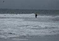 Copernicus: Oceanele se apropie de recordul de căldură