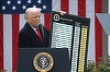 Administraţia americană deschide un portal de rambursare a taxelor vamale ale lui Trump anulate de Curtea Supremă