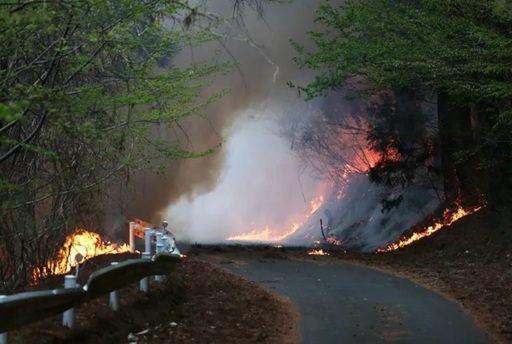 Evacuări în nordul Japoniei, din calea unor incendii de pădure care se apropiau de un orăşel