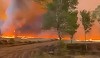Un incendiu devastează un poligon militar din estul Olandei. Stingerea lui ar putea dura câteva zile din cauza condiţiilor meteo - VIDEO
