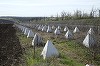 Ucraina îşi întăreşte apărarea la frontiera cu Transnistria: „Trebuie să fim pregătiţi pentru orice scenariu”