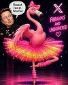 „Flamingo roz în tutu fluorescent”: O asociaţie depune plângere împotriva lui Elon Musk după insultele aduse magistraţilor francezi