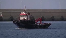 Hantavirus - Primul grup de pasageri de pe nava MV Hondius a fost debarcat