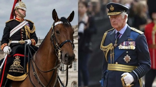 Un soldat a murit după ce a căzut de pe cal la Royal Windsor Horse Show; regele Charles s-a declarat ”şocat şi profund întristat”