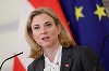Austria îl convoacă pe ambasadorul rus la Viena după căderea unei drone în România. ”Europa nu se va lăsa intimidată”