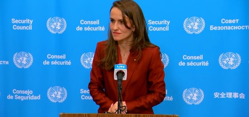 Oana Ţoiu, după Consiliul de Securitate al ONU: Comunitatea internaţională arată încă o dată ceea ce este clar: o asemenea încălcare flagrantă nu trebuie să fie tolerată şi să devină noua normalitate