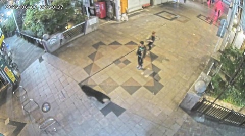 Aproape 100 de şcoli închise în Japonia, după mai multe semnalări ale unor urşi din weekend. Zeci de vânători, poliţişti şi oficiali locali caută animalul