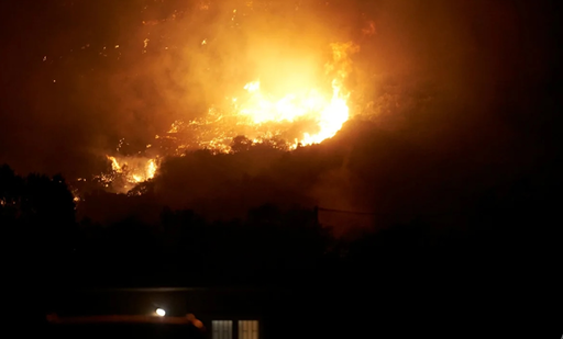 Grecia a mobilizat pompieri, avioane şi elicoptere pentru a combate un incendiu de vegetaţie pe insula Evia