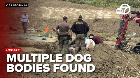 117 câini morţi găsiţi la un centru de salvare a animalelor din California - mulţi dintre ei cu răni prin împuşcare