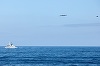 Un avion rus de tip Tu-142 Bear-F, interceptat de două avioane britanice de tip F-35, după ce lansează balize acustice, în apropierea grupului aeronaval al portavionului britanic HMS Prince of Wales, în Marea Norvegiei, în timpul Operaţiunii NATO Firecres