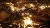 Pompierii luptă în continuare cu incendiul din pădurea Fontainebleau, de lângă Paris. Două persoane au fost arestate