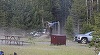 Un bărbat în vârstă, atacat şi aruncat în aer de către un bizon în SUA, la Bridge Bay, în Parcul Yellowstone - VIDEO