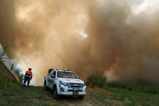 Cum au folosit piromanii pisicile pentru a răspândi incendiile forestiere în Italia