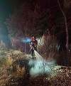 Incendiul forestier se află acum la nouă mile de oraşul francez Bordeaux, avertizează primarul

