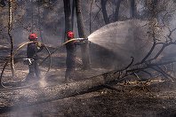 Emmanuel Macron, în timpul vizitei în regiunea Gironde, afectată de incendii: Este cea mai dificilă situaţie de la al Doilea Război Mondial încoace. Ne confruntăm cu un incendiu fără precedent, peste 60.000 de hectare au ars deja