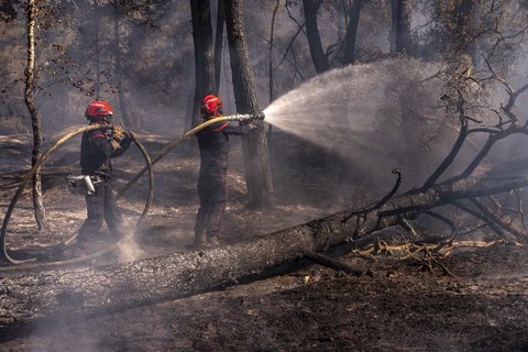 Emmanuel Macron, în timpul vizitei în regiunea Gironde, afectată de incendii: Este cea mai dificilă situaţie de la al Doilea Război Mondial încoace. Ne confruntăm cu un incendiu fără precedent, peste 60.000 de hectare au ars deja