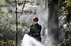 Un incendiu de pădure reizbucneşte la Fontainebleau şi devastează şapte hectare