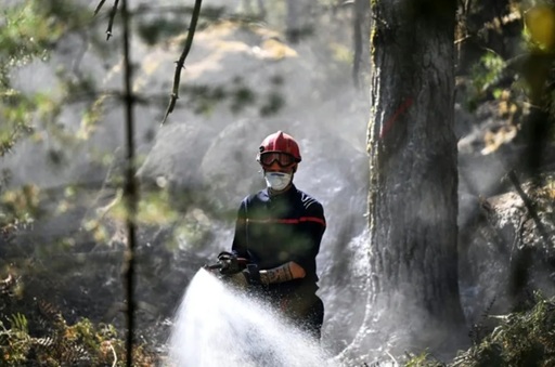Un incendiu de pădure reizbucneşte la Fontainebleau şi devastează şapte hectare