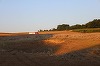 UPDATE - Atacul masiv al Rusiei asupra Ucrainei s-a soldat cu cel puţin 13 morţi. Polonia şi-a ridicat avioanele de vânătoare şi investighează o „încălcare a spaţiului aerian” după descoperirea unui crater misterios de 10 metri / „Probabil” o rachetă rusă