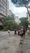 Cinci morţi şi pagube însemnate, după ce o furtună violentă a provocat haos în Rio de Janeiro - VIDEO