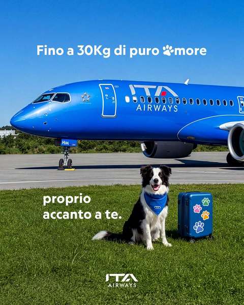 Adio cala avionului - În Italia, câinii de talie mare pot călători de acum în cabină

