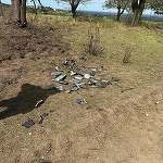 O dronă ar fi explodat în sud-estul Republicii Moldova, provocând un incendiu de vegetaţie