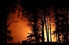 Peste 500 de persoane evacuate în sud-vestul Franţei, din calea unui incendiu în Pădurea din Landes, care a devastat 1.100 de hectare, fără să provoace pagube materiale importante