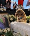 Columbia: Avocata Lenny Fernandez a murit în cutremurul din Cali în timp ce îşi proteja câinele, Salomon - VIDEO