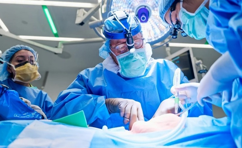 Un rinichi de porc transplantat funcţionează în corpul unui bărbat din SUA timp de 271 de zile, un record