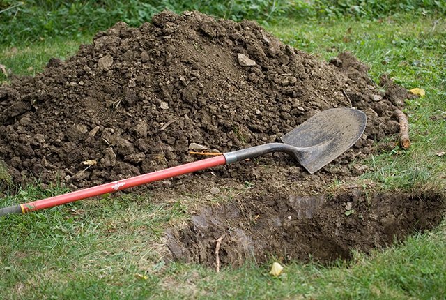 Concurs de săpat morminte într-un cimitir din Ungaria. Câţi bani a primit câştigătorul