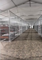 Imigranţii au fost închişi în cuşti de dimensiunea unei cabine telefonice în „Alcatrazul aligatorilor” din Florida, potrivit unei anchete