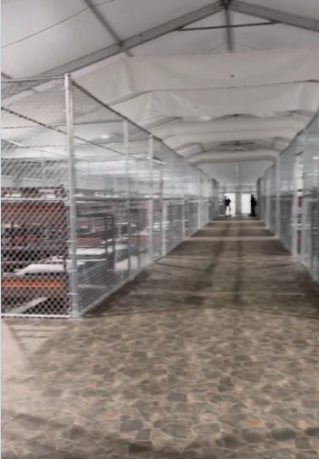 Imigranţii au fost închişi în cuşti de dimensiunea unei cabine telefonice în „Alcatrazul aligatorilor” din Florida, potrivit unei anchete