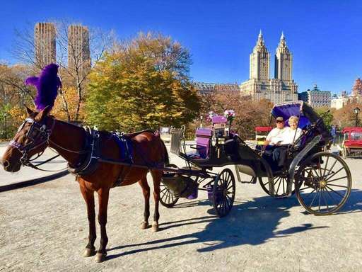 Căruţele trase de cai, simbol al oraşului New York, se pregătesc să-şi facă ultima plimbare