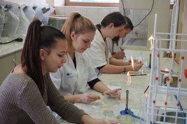 O expoziţie de picturi realizate cu bacterii, în laboratoarele Universităţii Sapientia, a fost vernisată la Miercurea Ciuc