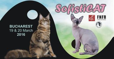 Expoziţia SofistiCat, ediţia de primavară, s-a deschis la Romexpo