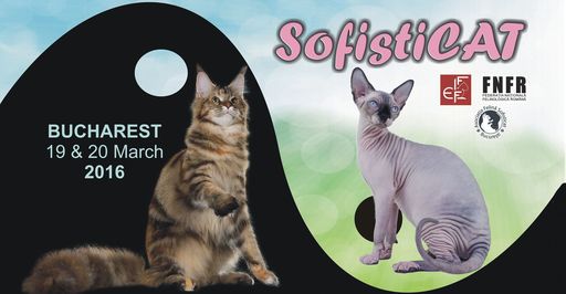 Expoziţia SofistiCat, ediţia de primavară, s-a deschis la Romexpo